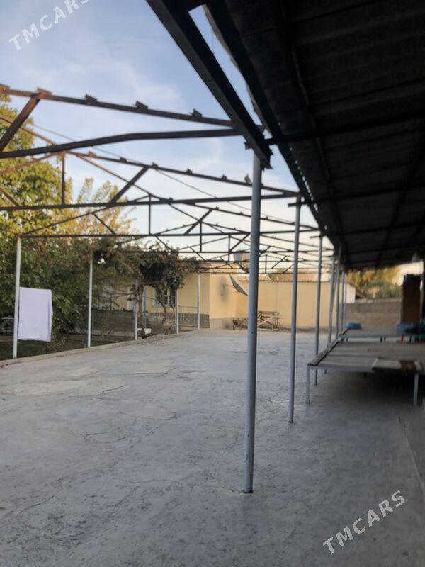 demir ferma turba - Ашхабад - img 4