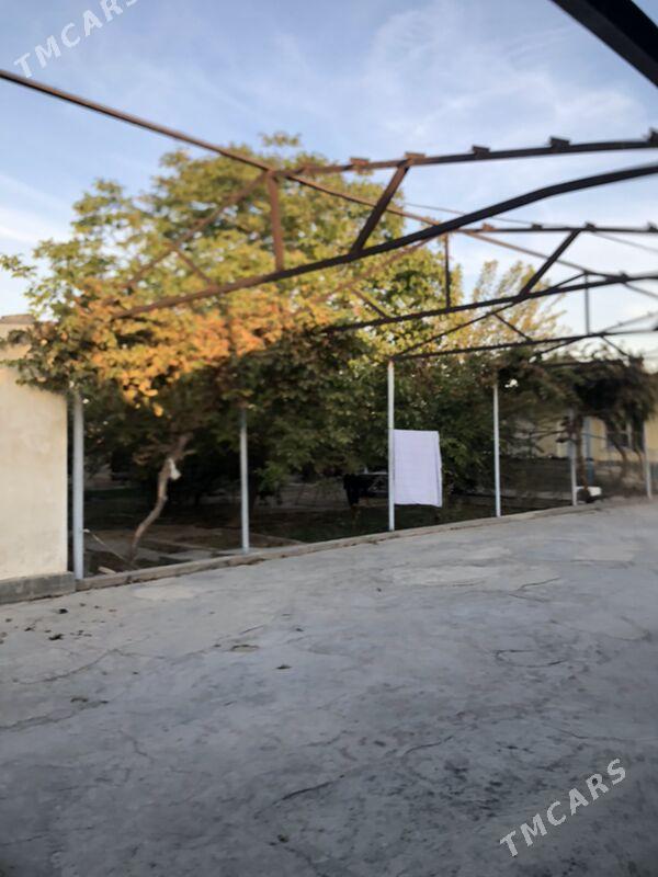 demir ferma turba - Ашхабад - img 3