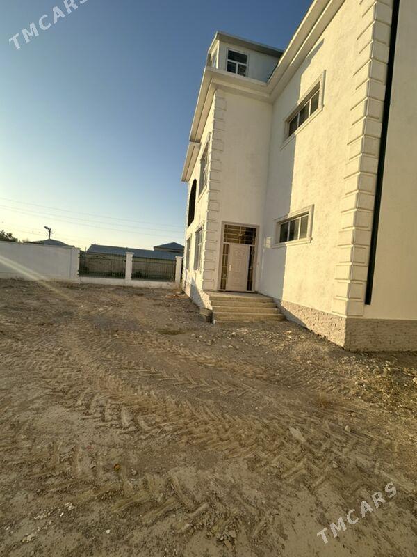 ANEW KOTEJ KOROPKA - Änew - img 2