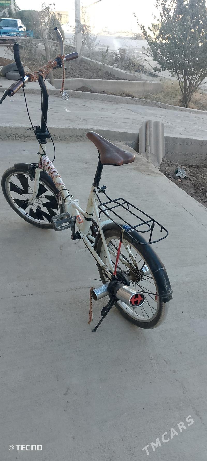 Kama - Daşoguz - img 3