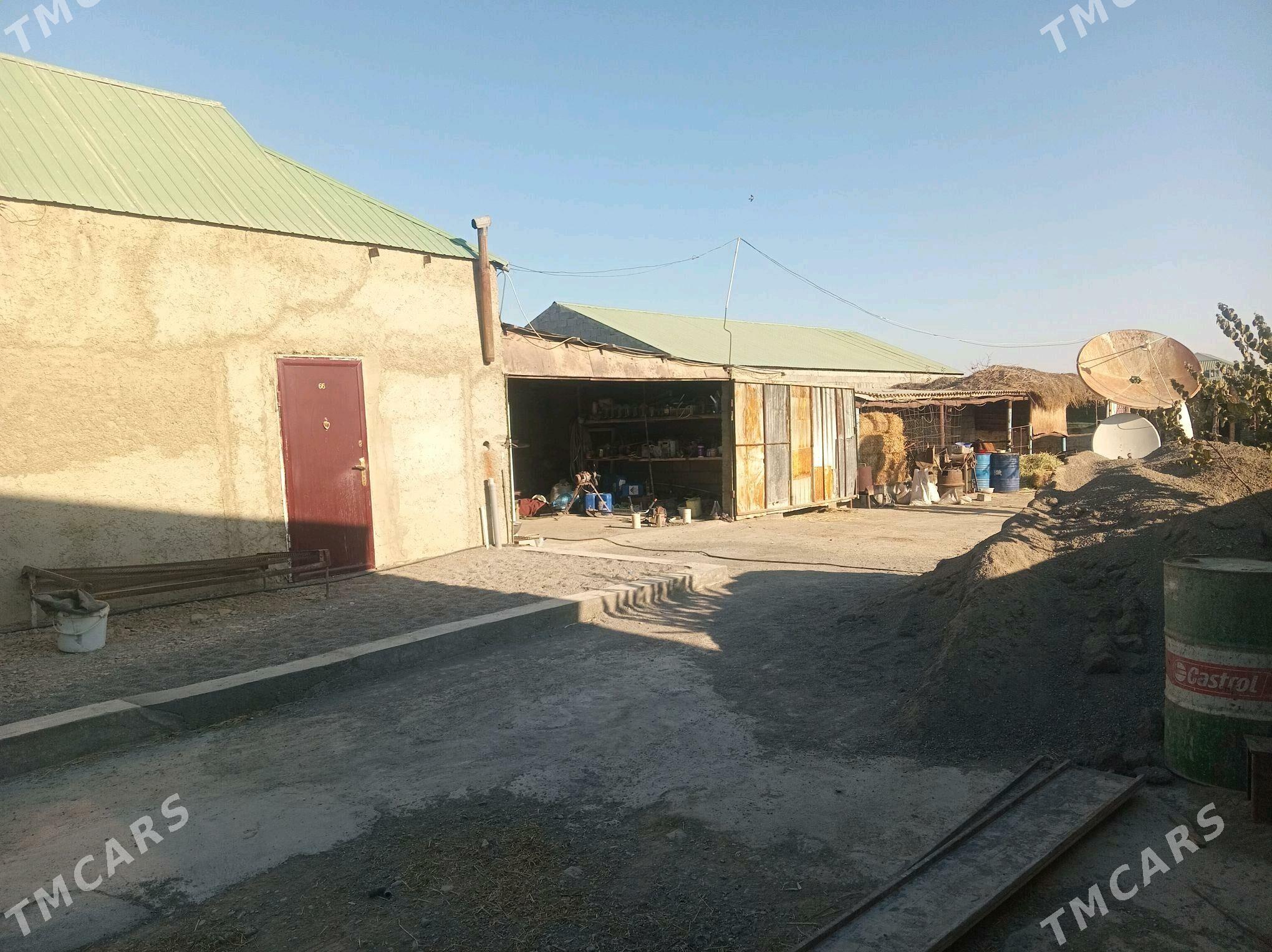 jay - Гёкдепе - img 1