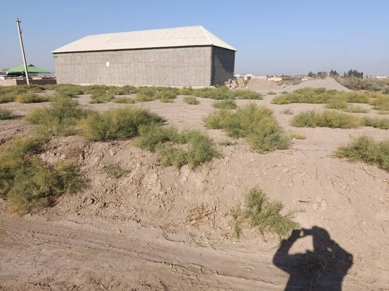 jay ýer - Tejen - img 2