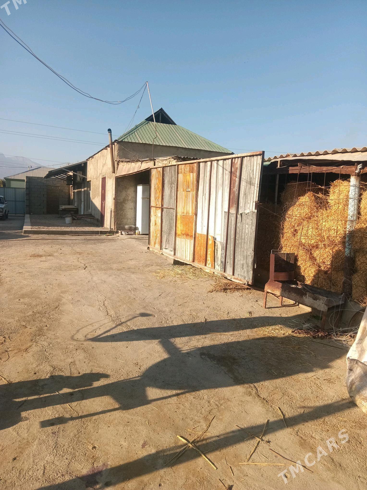 jay - Гёкдепе - img 4