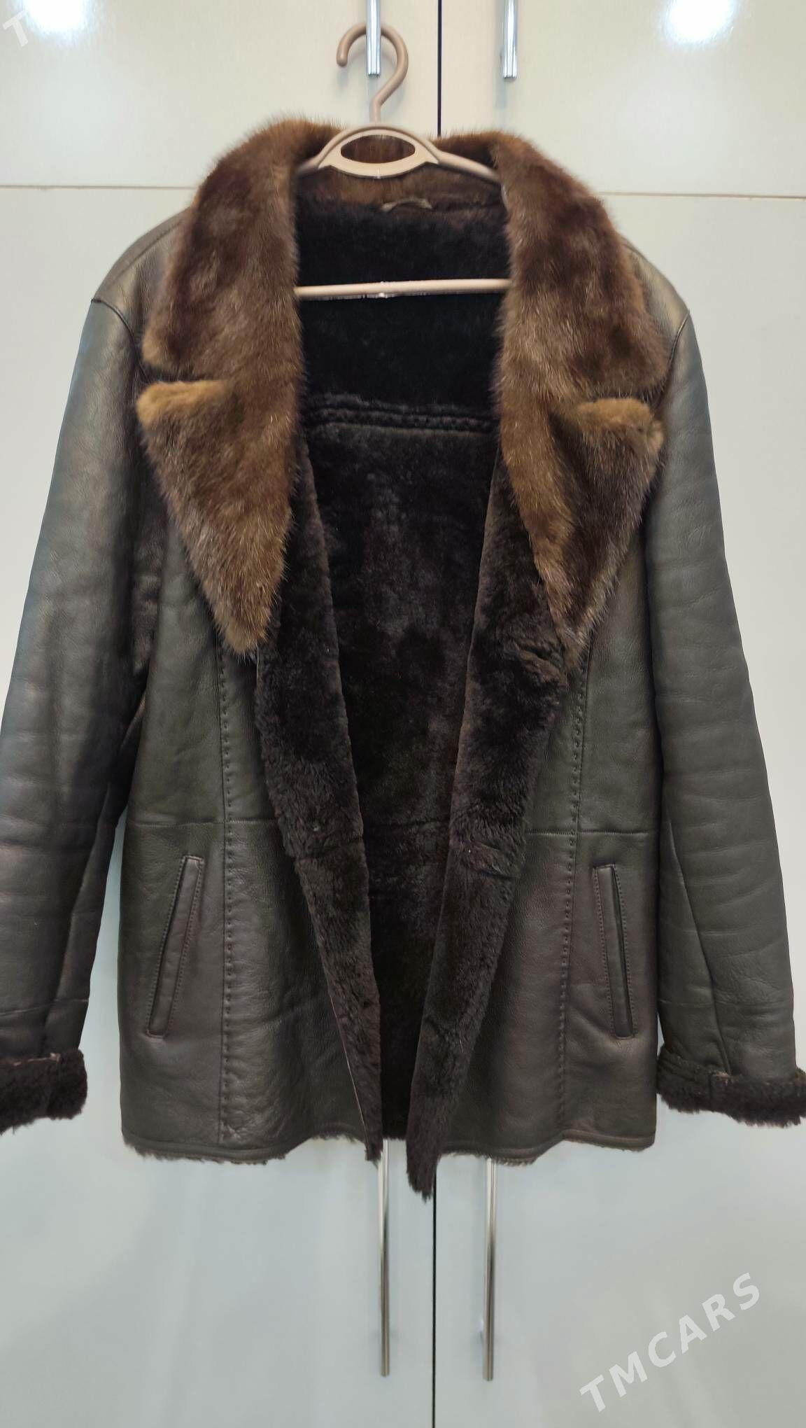 palto - Daşoguz - img 1