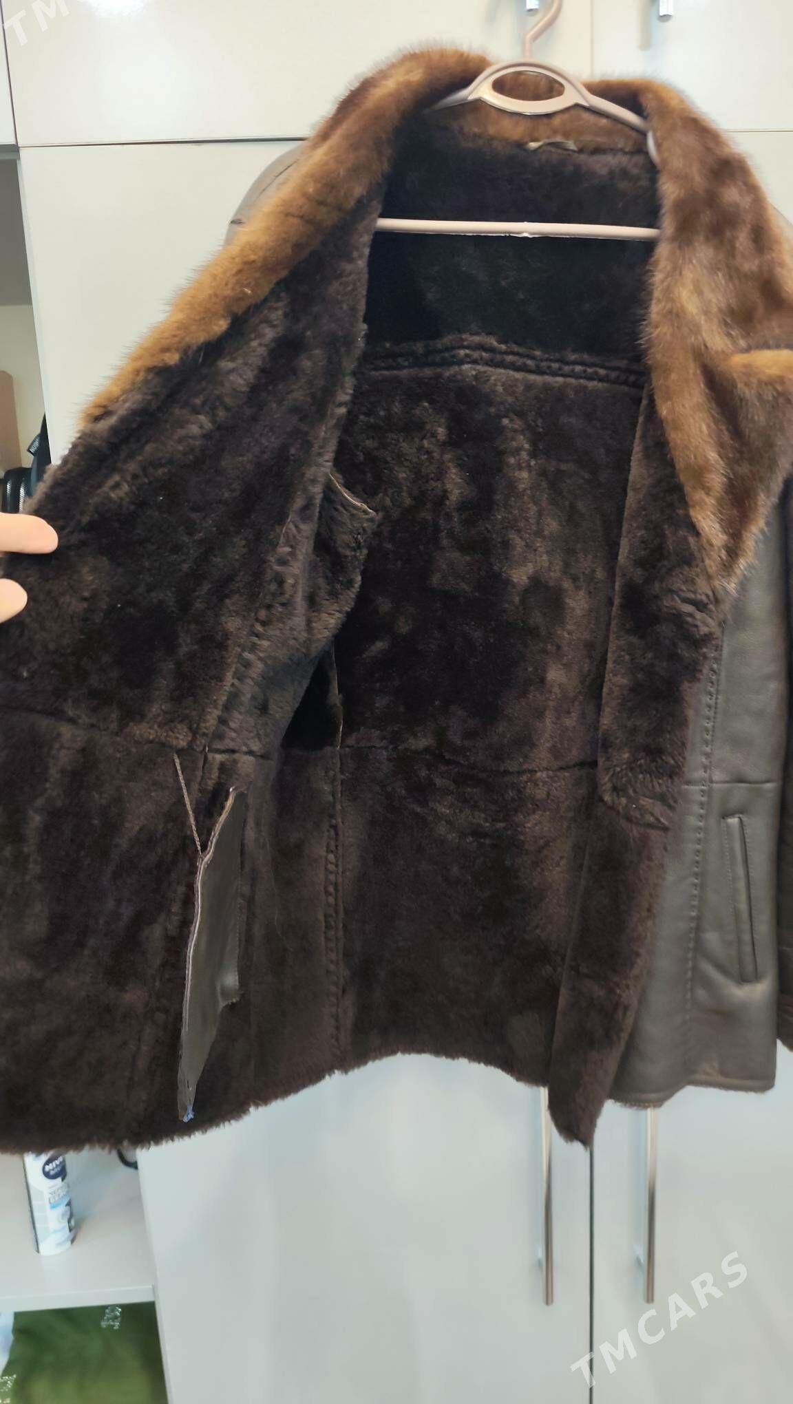 palto - Daşoguz - img 2