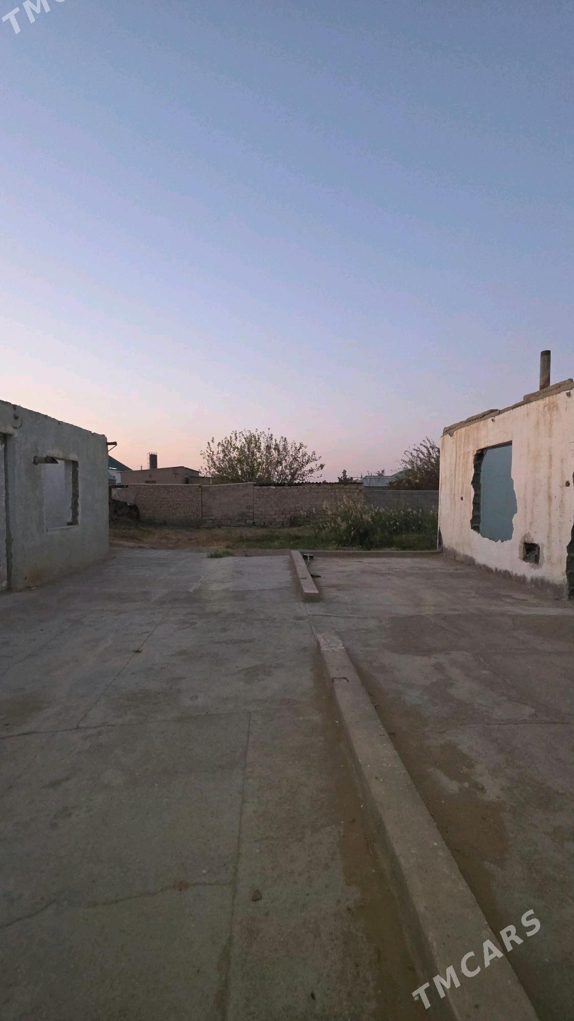 Satlyk 9 kamsar - Анев - img 3