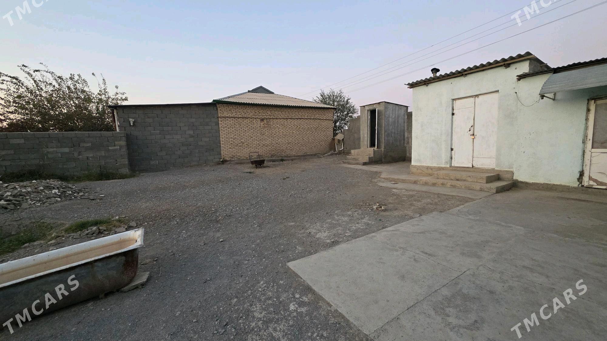 Satlyk 9 kamsar - Анев - img 2