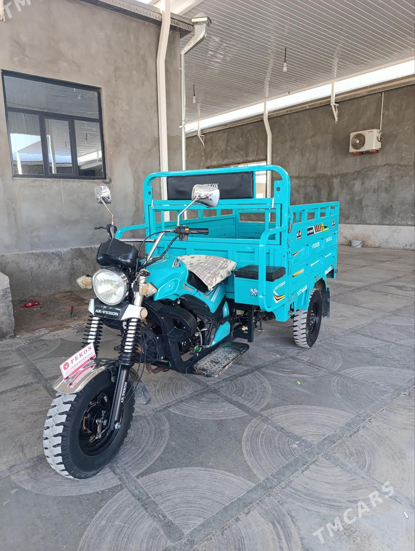 Fekon FK200-14G 2024 - 27 000 TMT - Sarahs - img 3