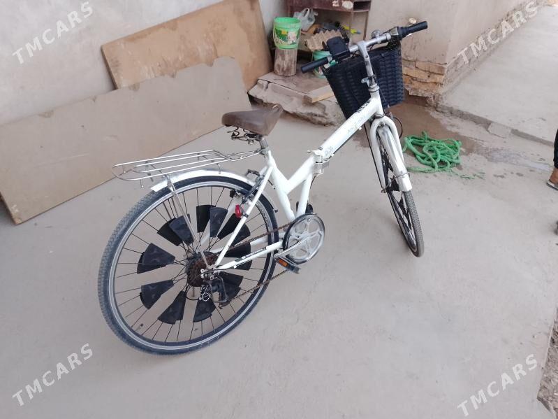 welisopet - Гурбансолтан Едже - img 3