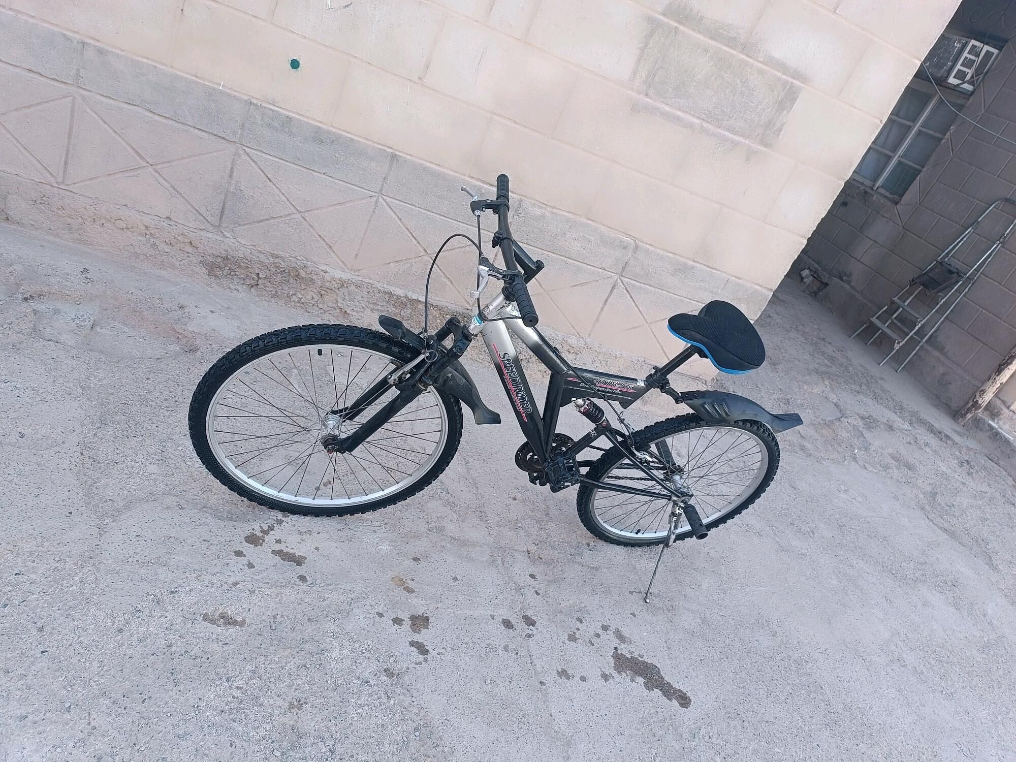 tigir 26-lyk - Tejen - img 2