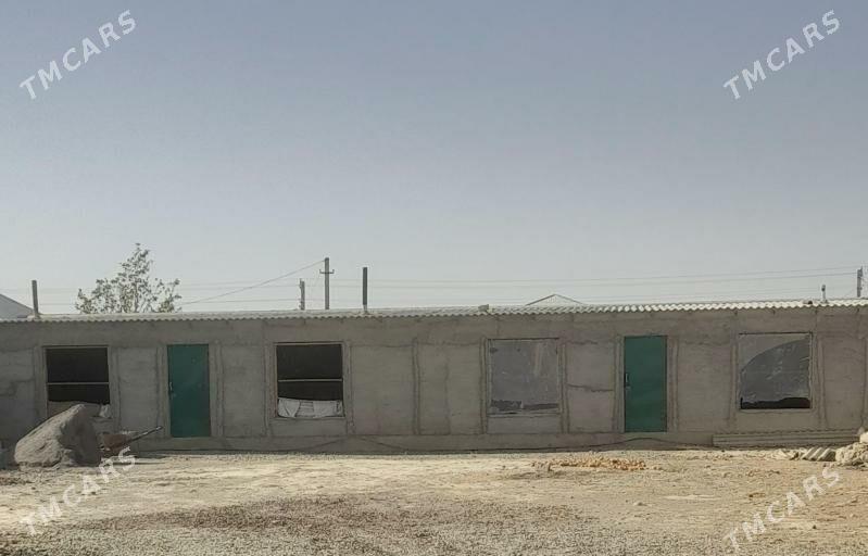 baherden - Bäherden - img 5