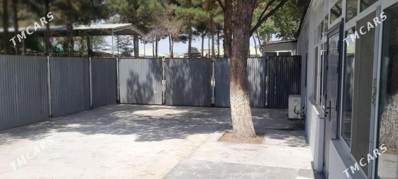 Eýesinden areda - Çoganly - img 4