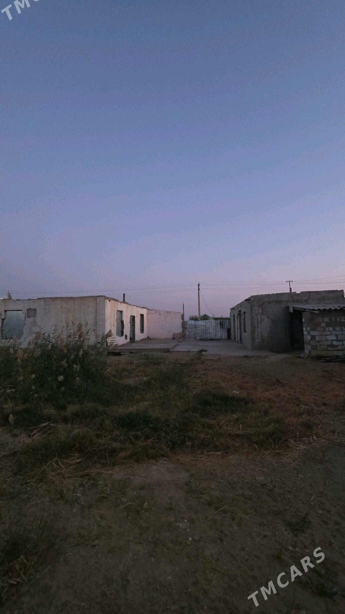 Satlyk 9 kamsar - Анев - img 5