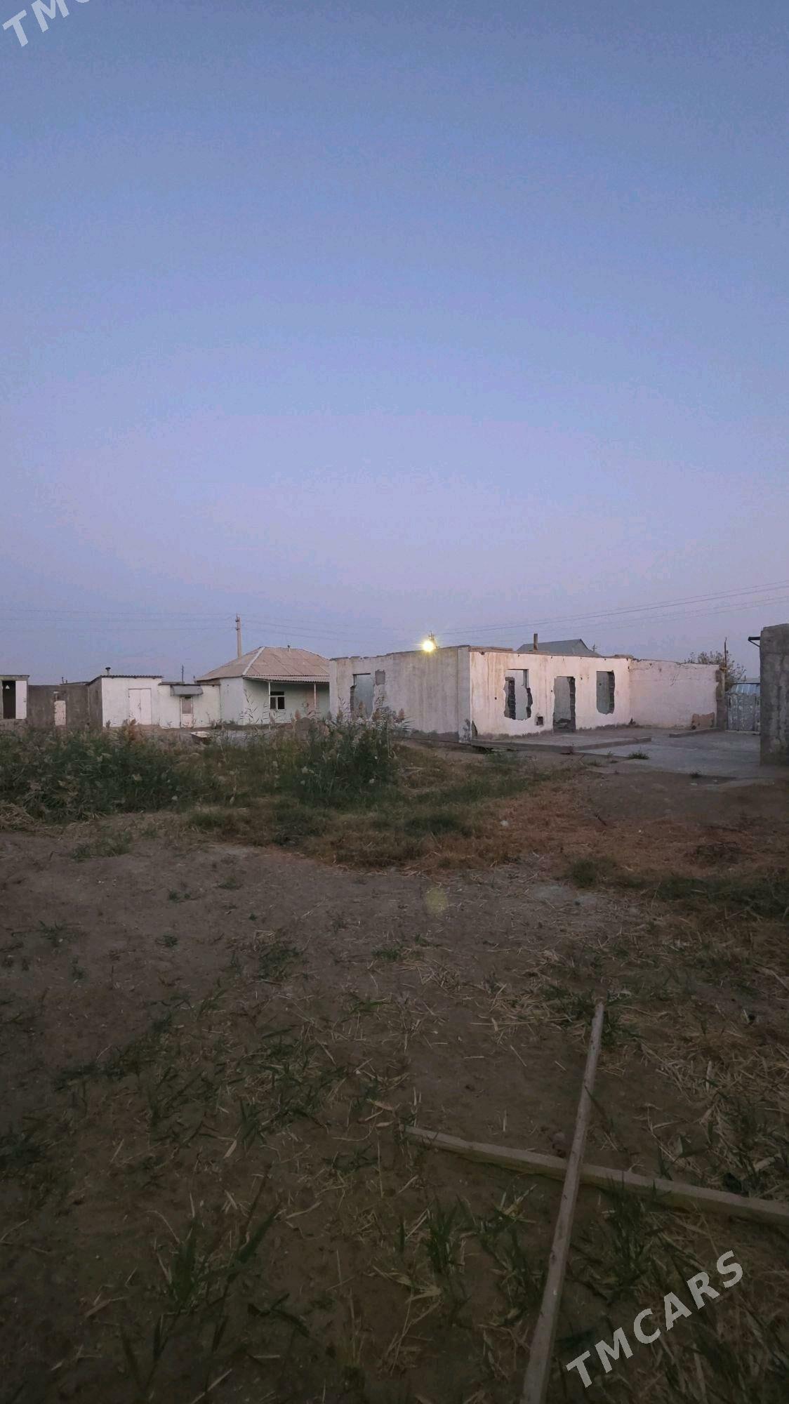 Satlyk 9 kamsar - Анев - img 4