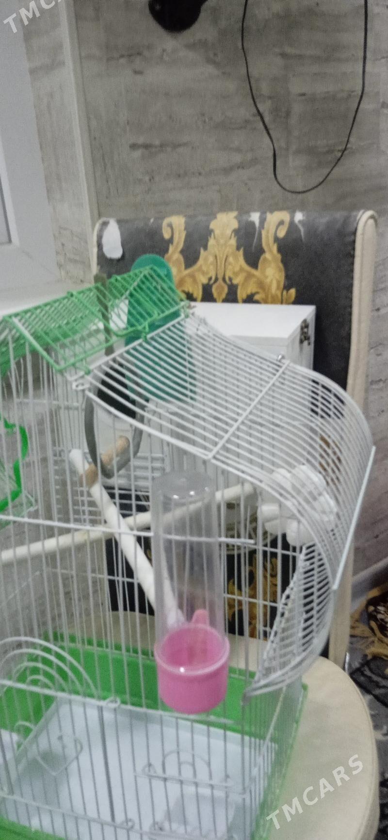 Клетка для попугая - Howdan "W" - img 3