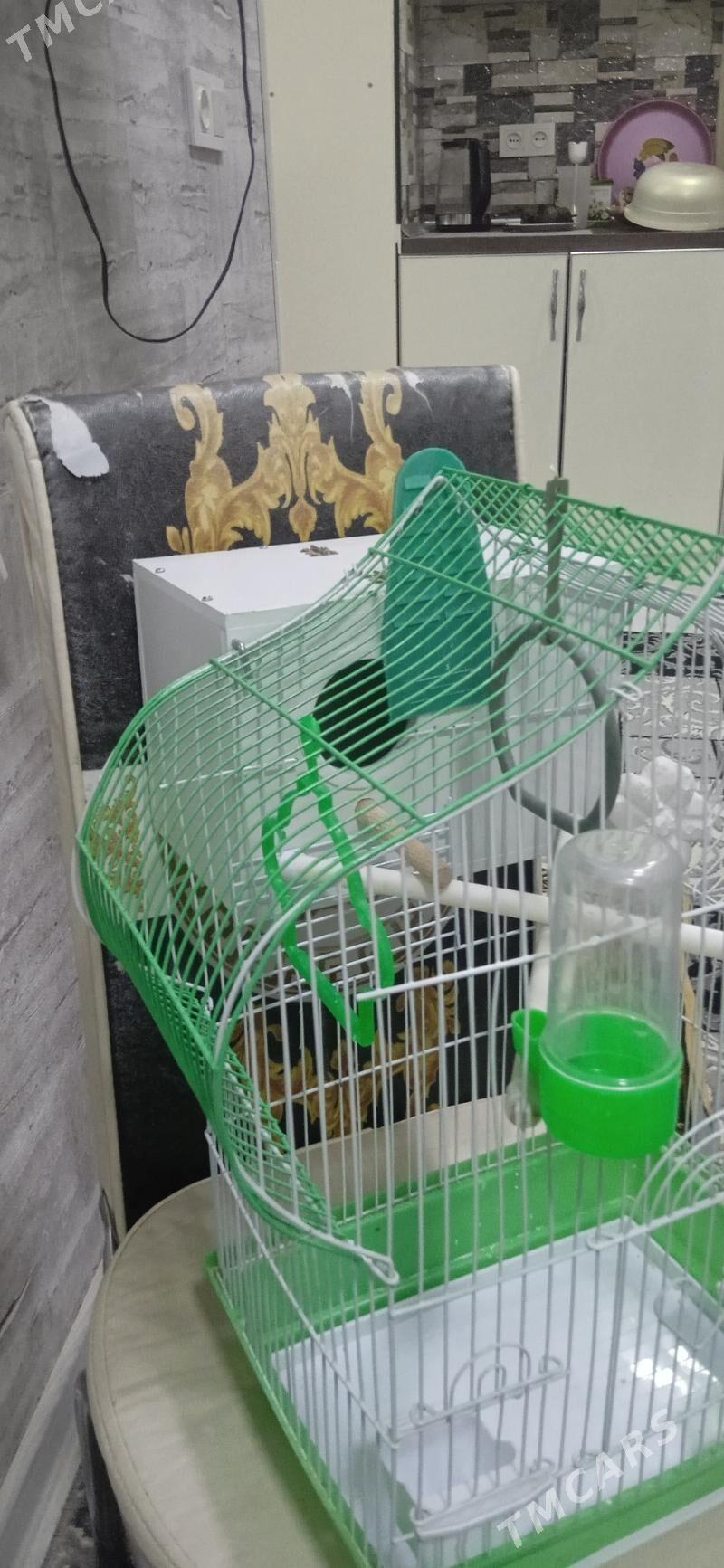 Клетка для попугая - Howdan "W" - img 2