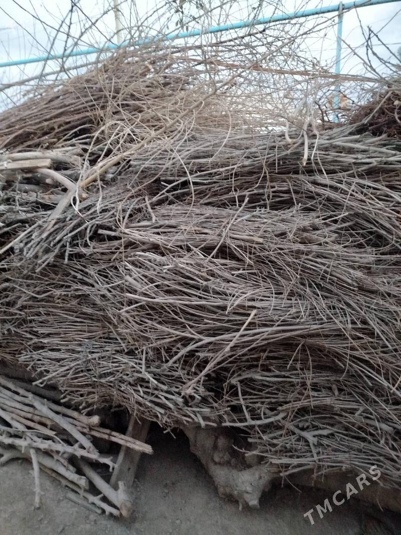 toňňe - Gökdepe - img 3