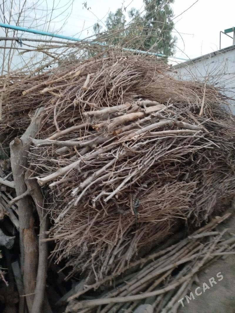 toňňe - Gökdepe - img 2