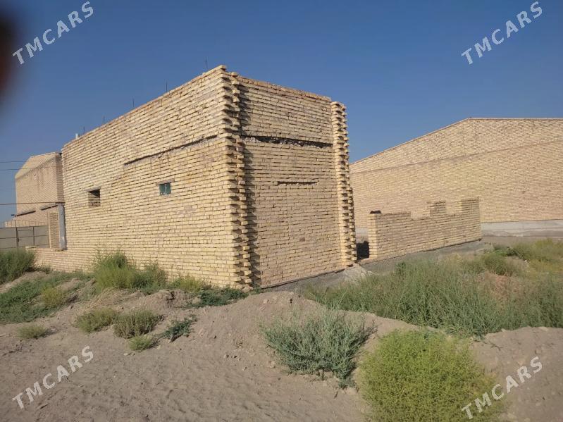 zaton daca - Туркменабат - img 2