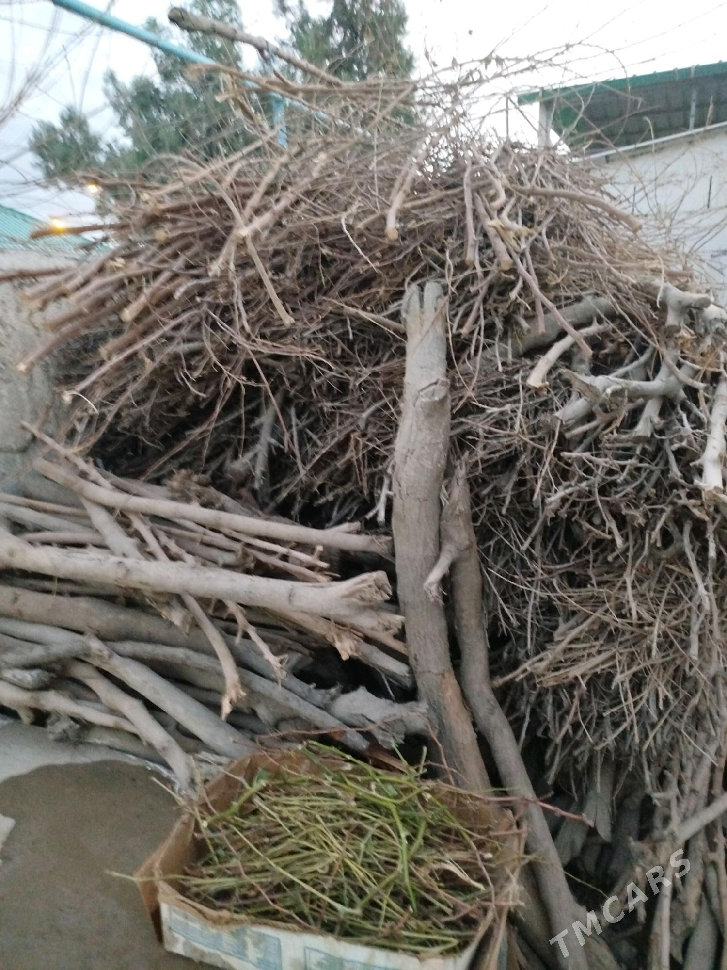 toňňe - Gökdepe - img 4