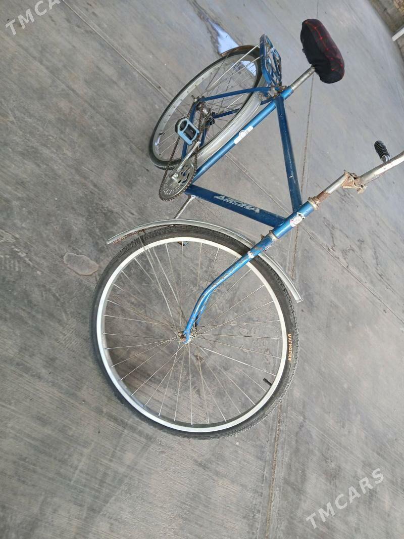 Ural - Büzmeýin - img 3