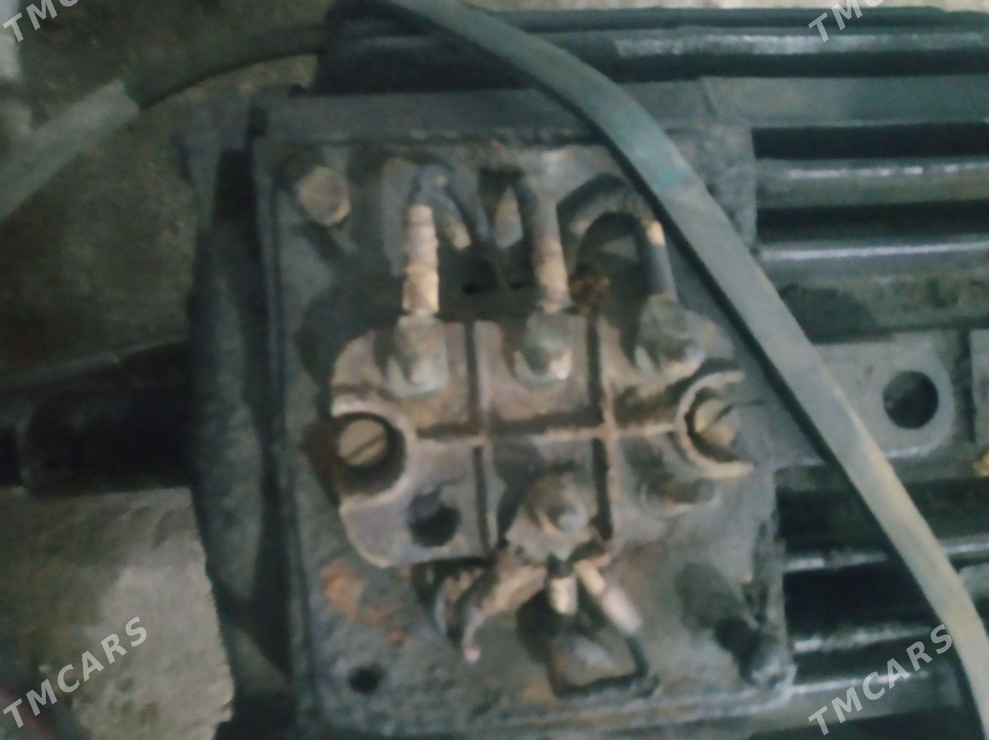 elektra dwigtel - Gyzylarbat - img 3