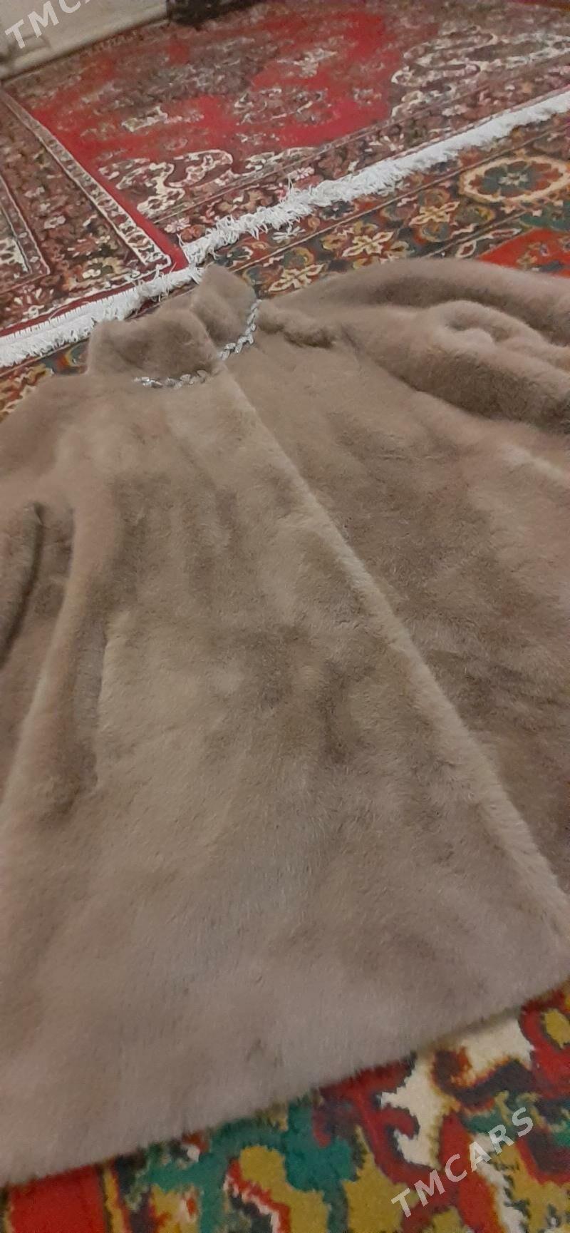 şuba - Ak bugdaý etraby - img 4