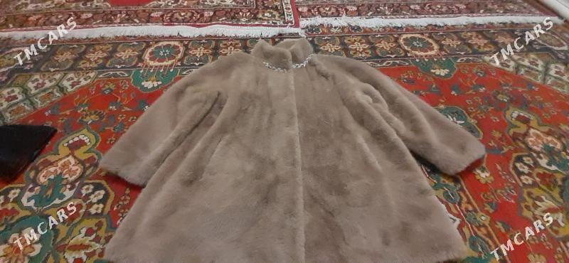 şuba - Ak bugdaý etraby - img 2