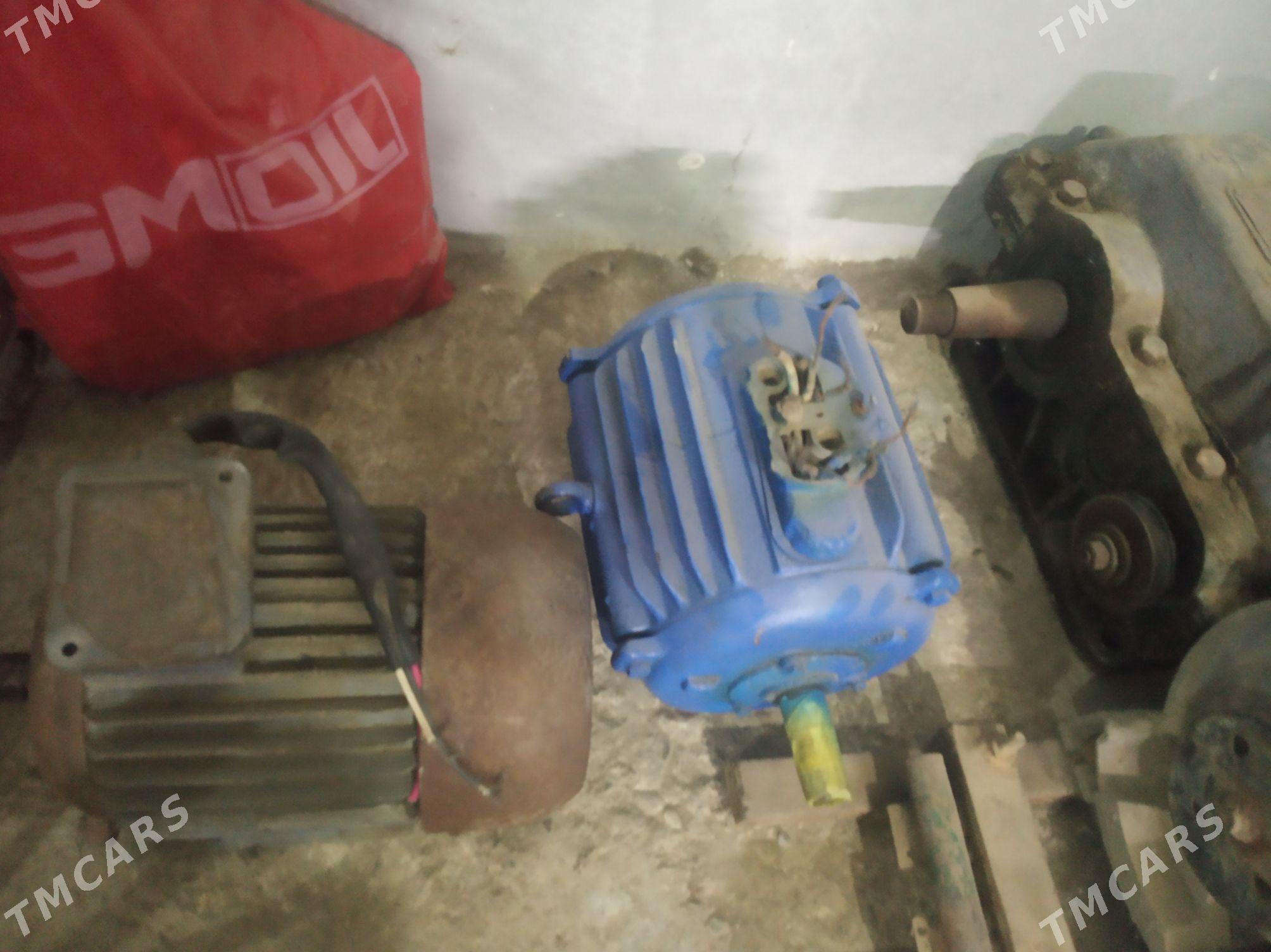 elektra dwigtel - Gyzylarbat - img 3