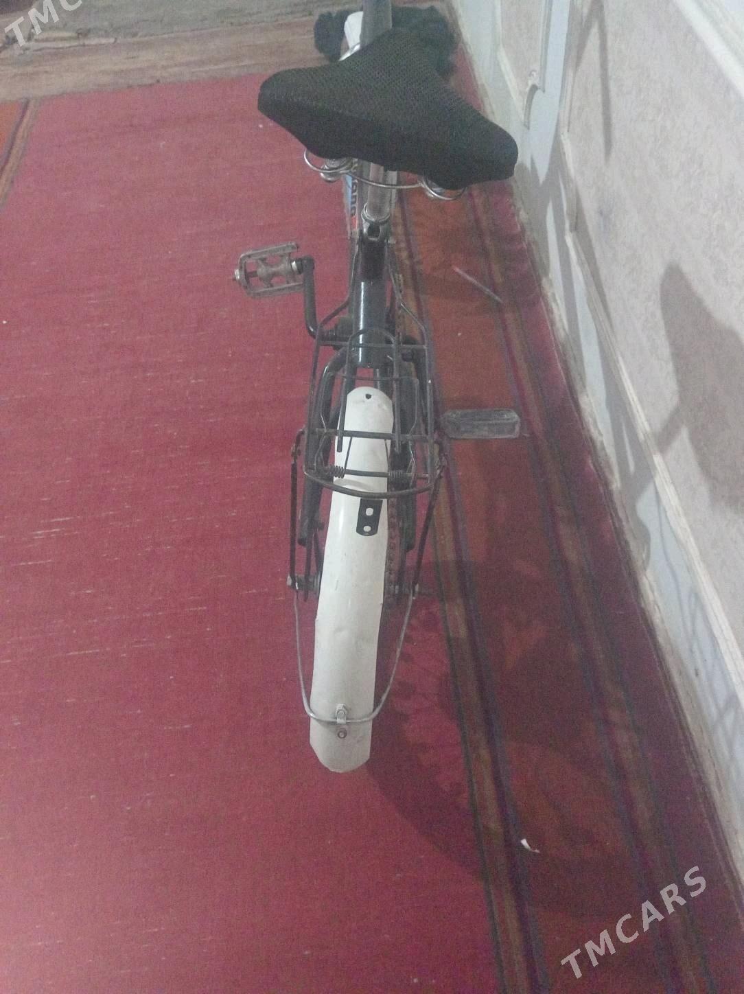 Welosipet - Daşoguz - img 3