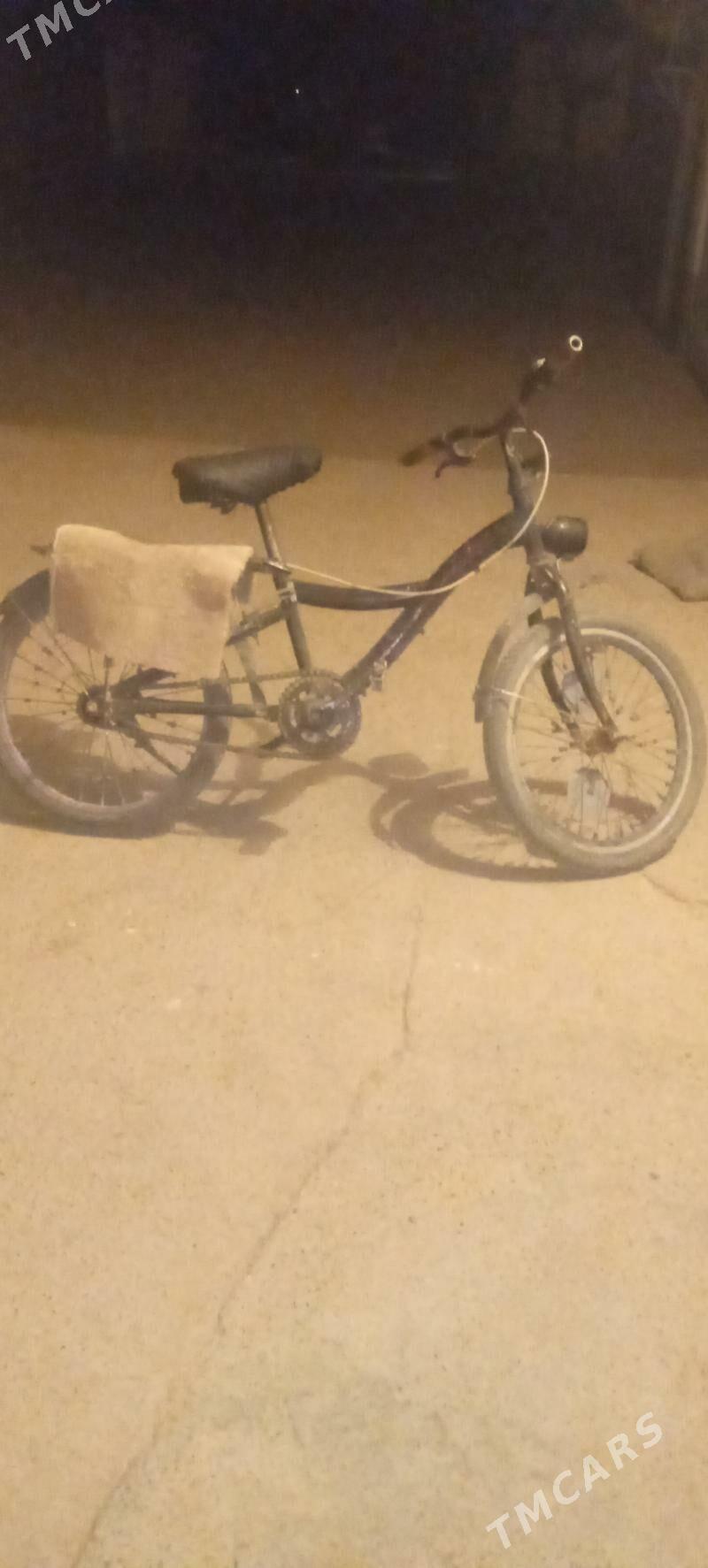 tigir - Babadaýhan - img 2