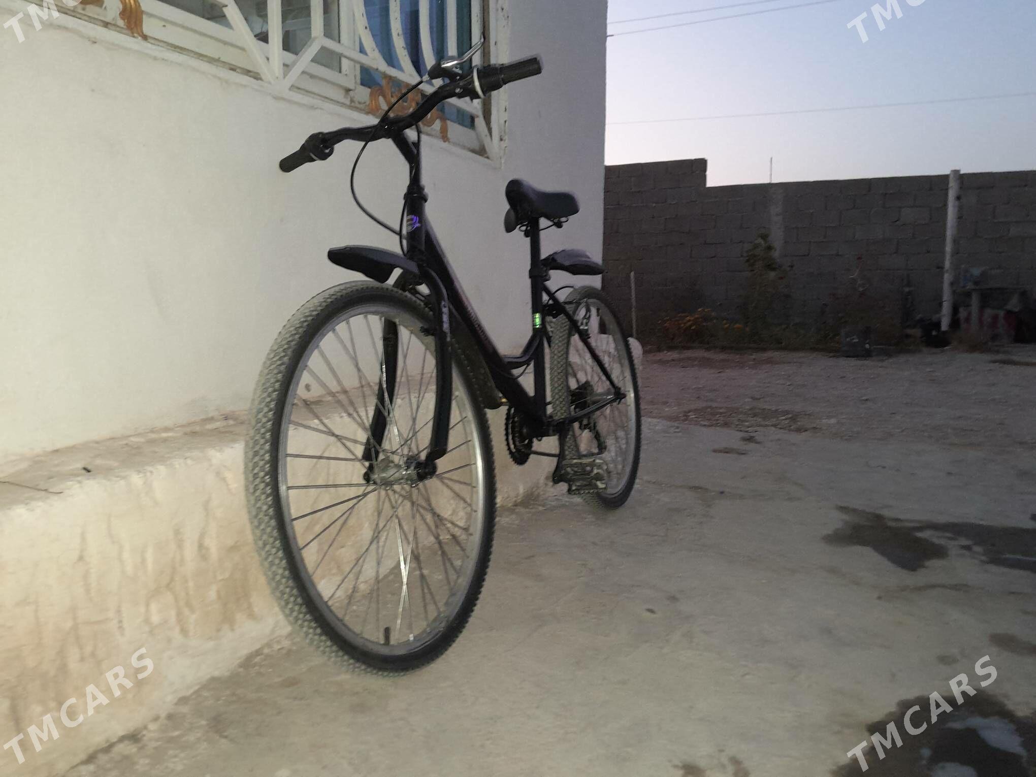 welsepit - Балканабат - img 2