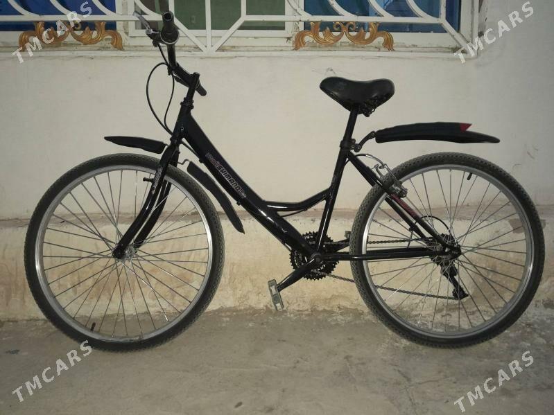 welsepit - Балканабат - img 3