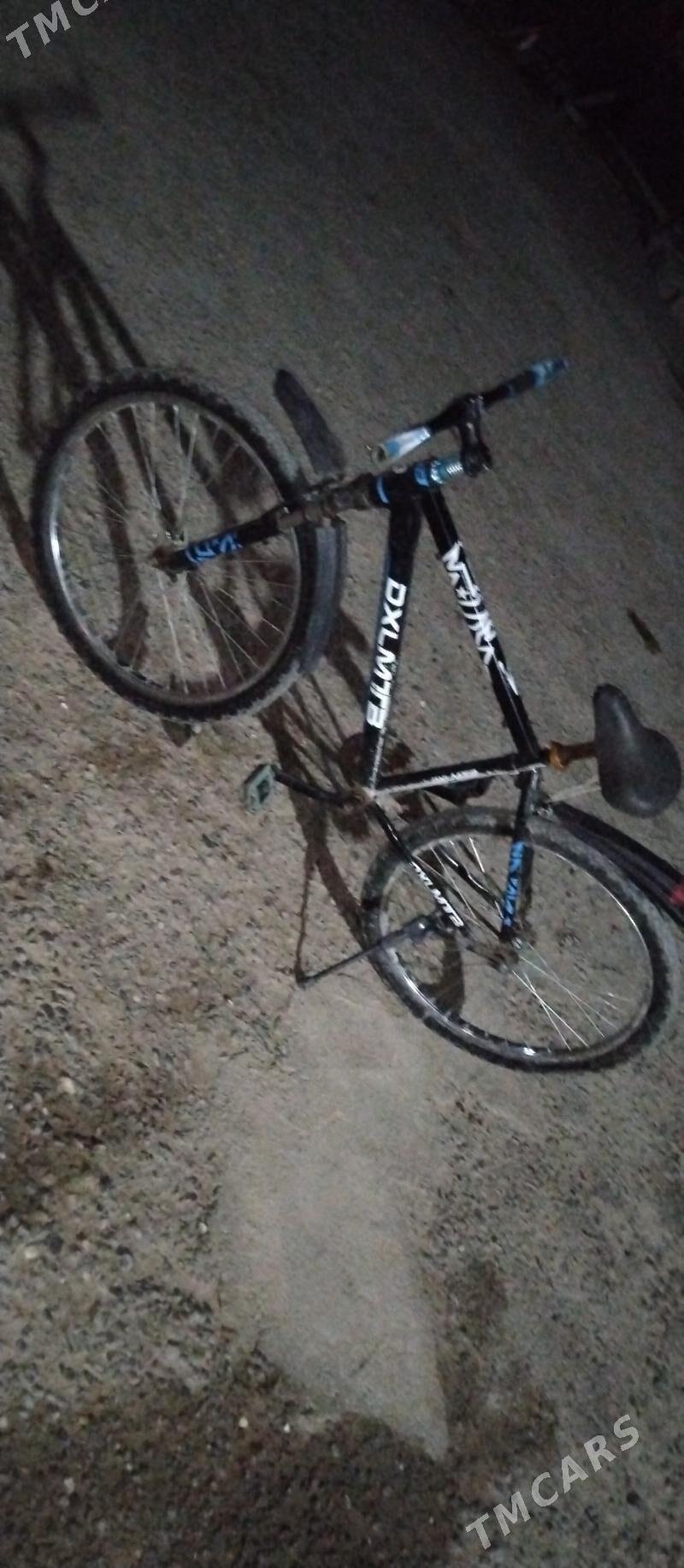 olimpiýat tigir - Herrikgala - img 2