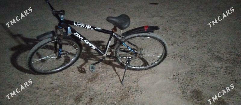 olimpiýat tigir - Herrikgala - img 3