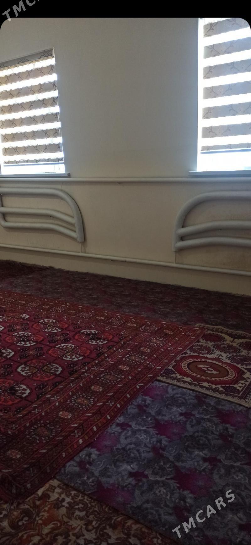 satlyk jay - Daşoguz - img 5