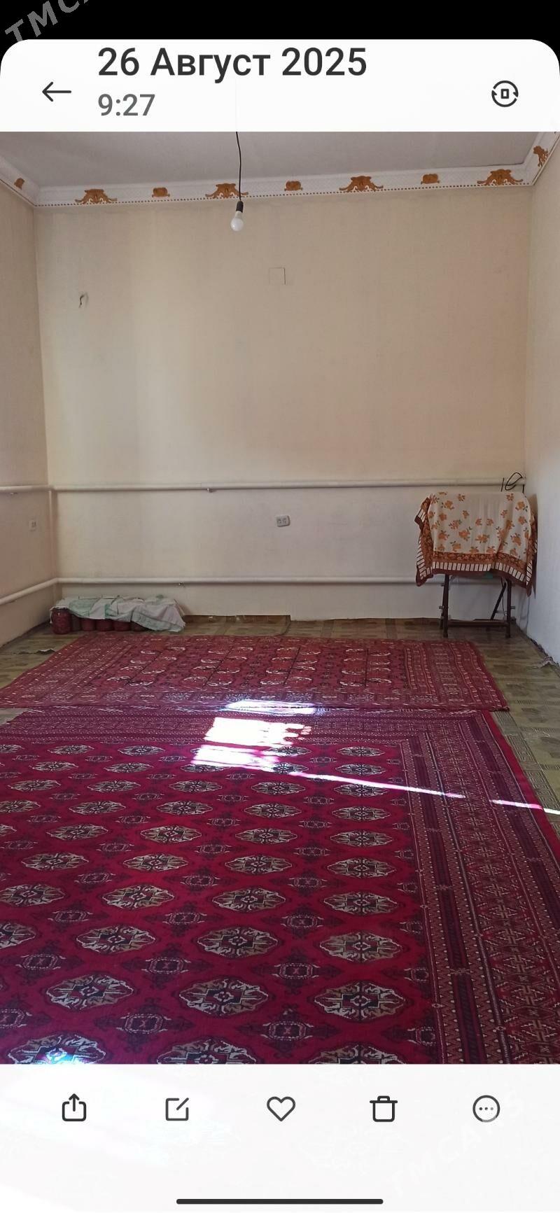 satlyk jay - Daşoguz - img 6