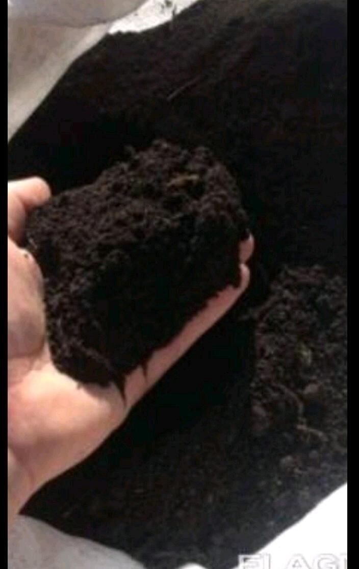 MITI SEMENT DERS PULPA GRAWY G - Ашхабад - img 5