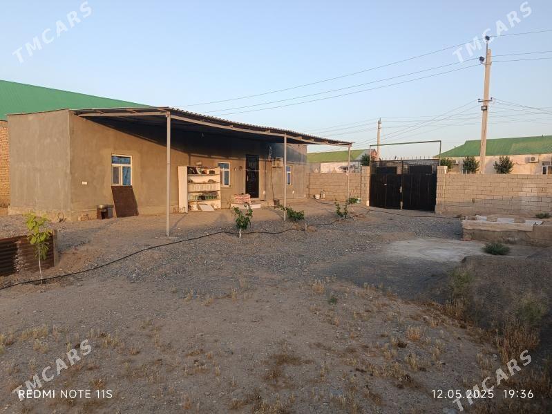 Satlyk jaý Cogonly Bosgun - Чоганлы - img 8