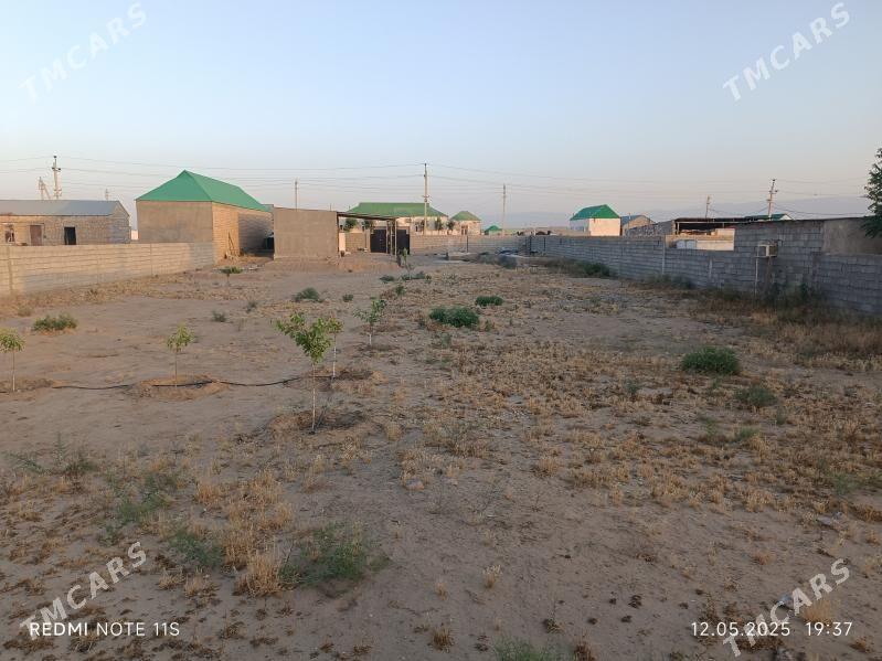 Satlyk jaý Cogonly Bosgun - Чоганлы - img 6