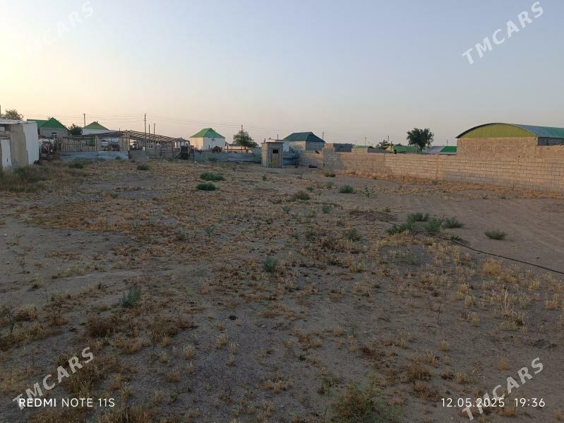 Satlyk jaý Cogonly Bosgun - Чоганлы - img 5