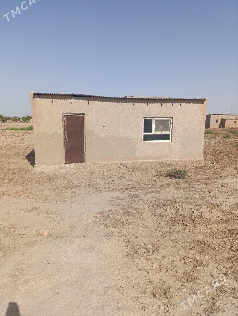 Mellek yer - Сакарчага - img 2