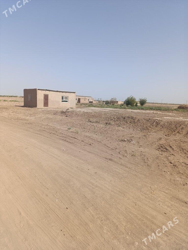 Mellek yer - Сакарчага - img 3