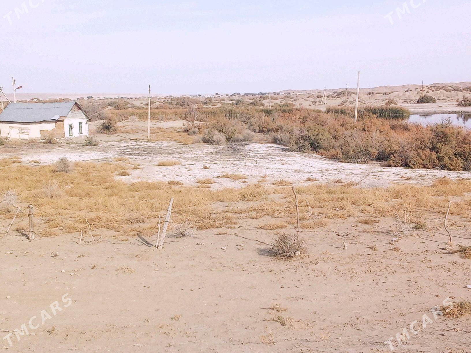 Daca ýer - Bereket - img 2