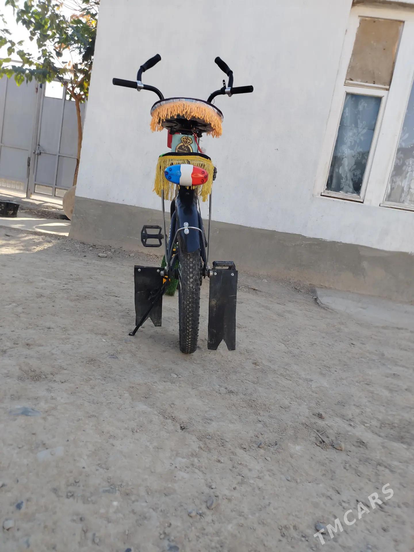 Kama tigir - Kaka - img 5