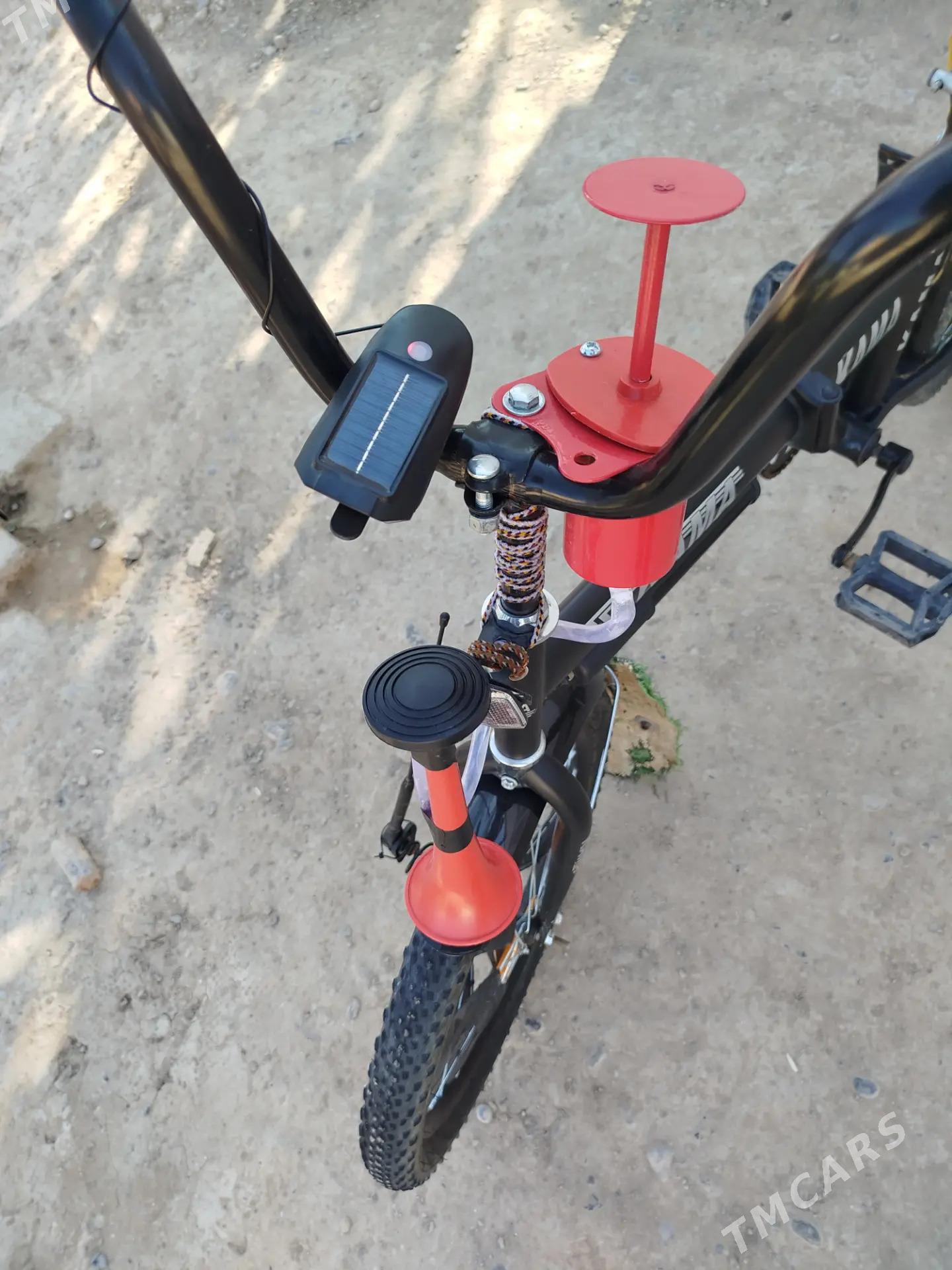 Kama tigir - Kaka - img 6