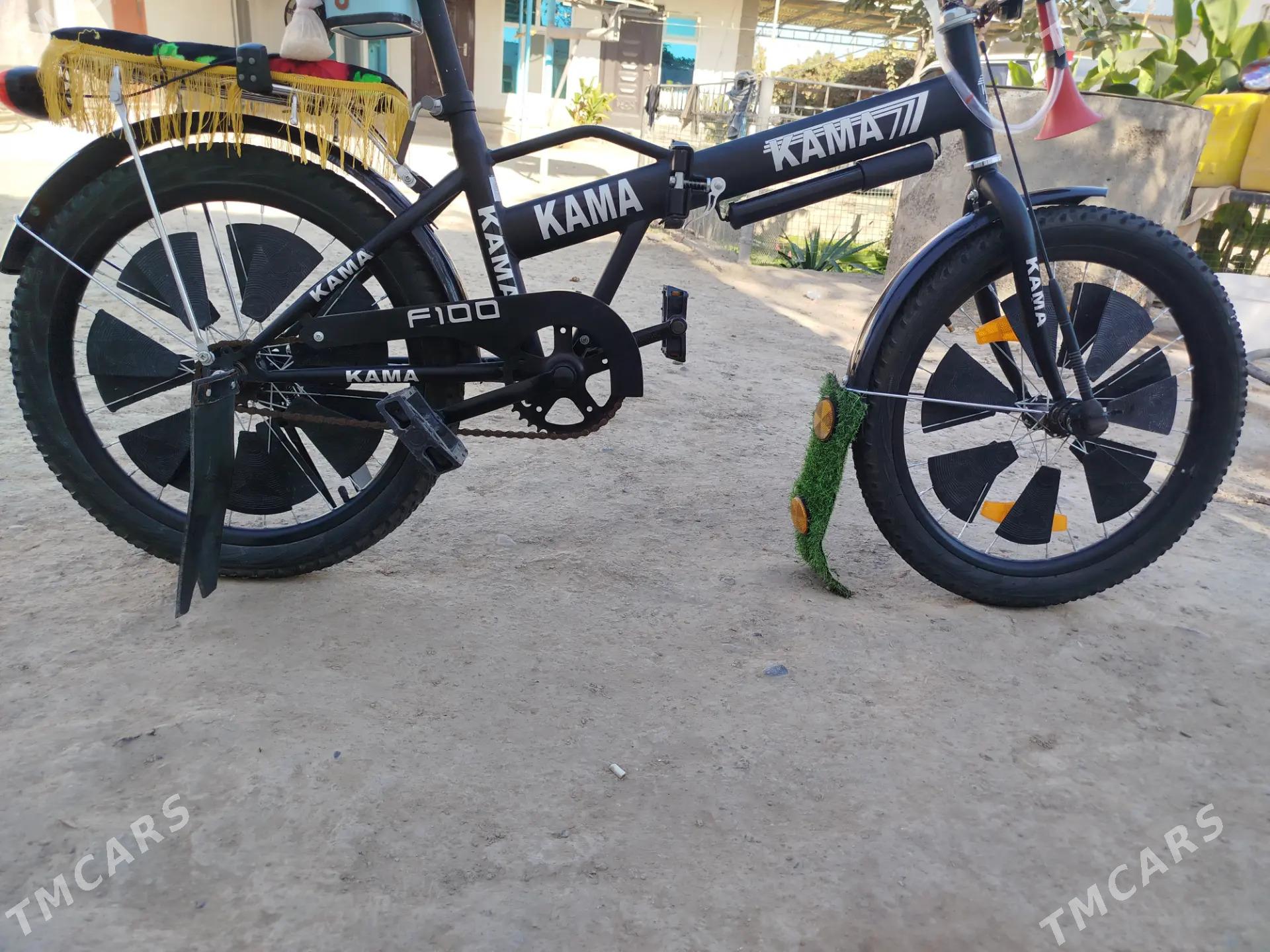 Kama tigir - Kaka - img 2