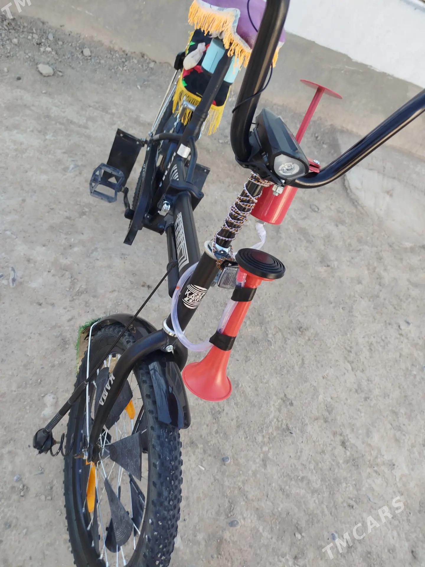 Kama tigir - Kaka - img 3