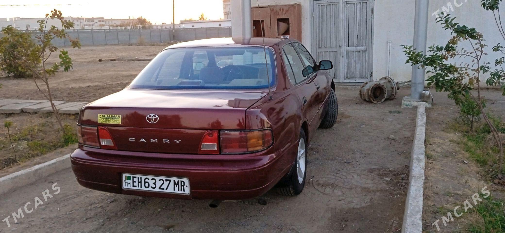 Toyota Camry 1995 - 85 000 TMT - Sakarçäge - img 2
