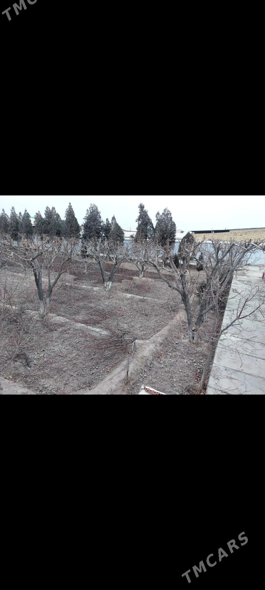 Bag Yolka kesyan - Дашогуз - img 1